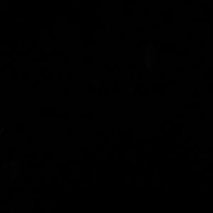 Meet your Posher, May